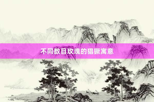 不同数目玫瑰的猖獗寓意