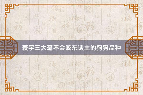 寰宇三大毫不会咬东谈主的狗狗品种