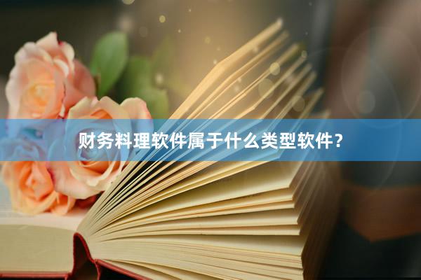 财务料理软件属于什么类型软件？